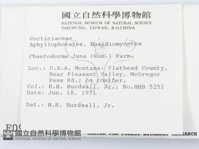 登錄號:F0000977藏品圖，第2張