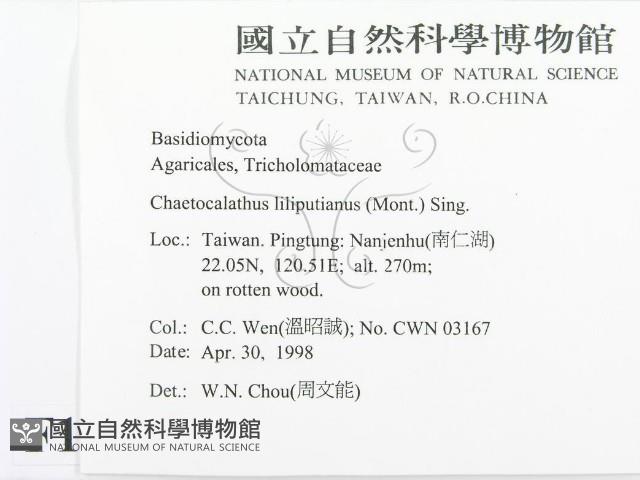 登錄號:F0010977藏品圖，第2張