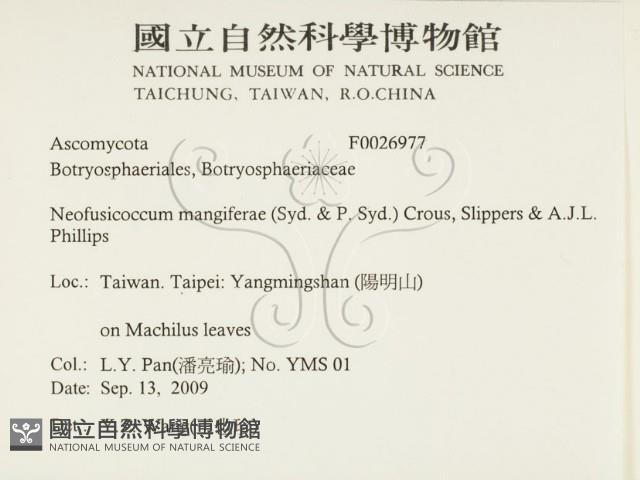 登錄號:F0026977藏品圖，第2張