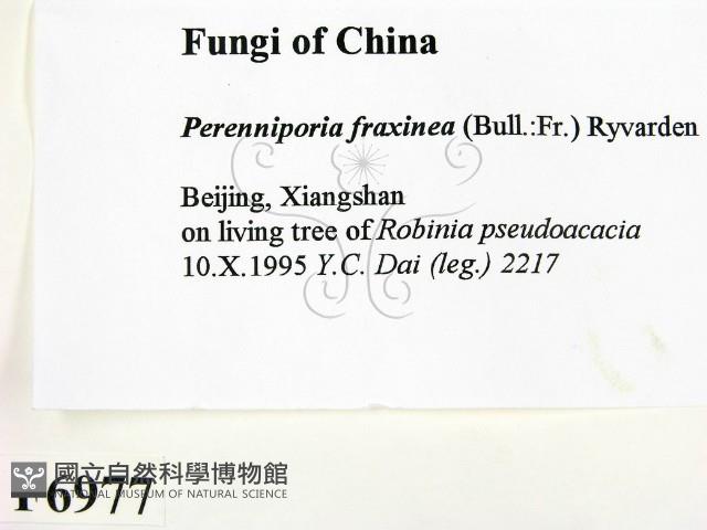 登錄號:F0006977藏品圖，第2張