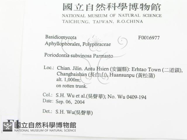 登錄號:F0016977藏品圖，第2張