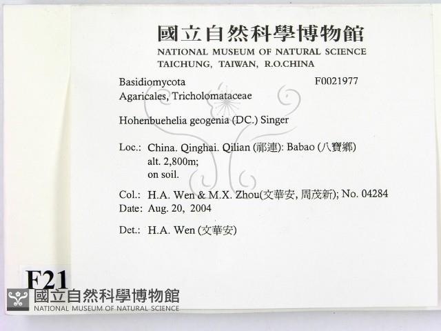 登錄號:F0021977藏品圖，第2張