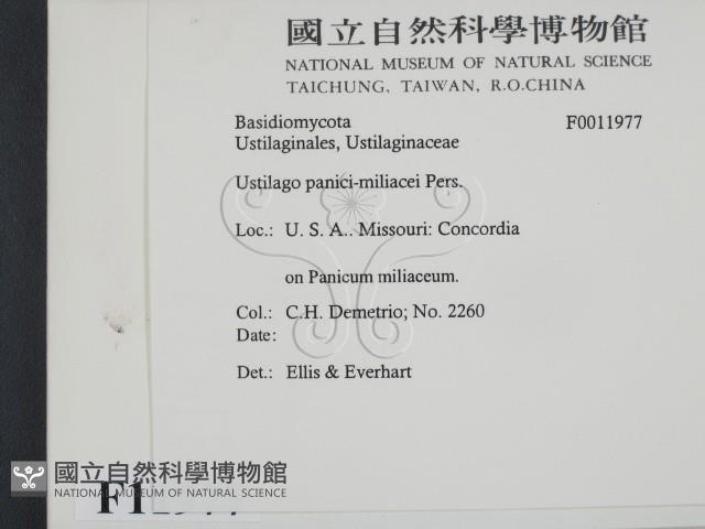 登錄號:F0011977藏品圖，第2張