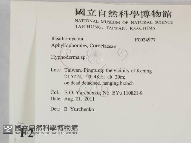 絲皮菌屬藏品圖，第2張