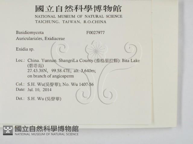 登錄號:F0027977藏品圖，第2張