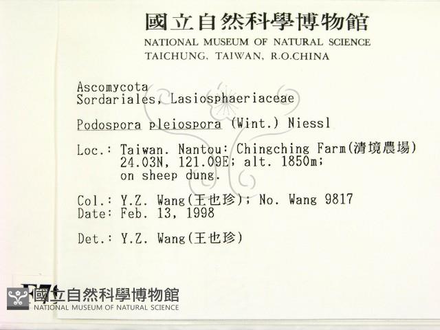 登錄號:F0007977藏品圖，第2張