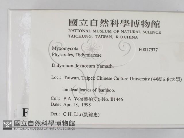 登錄號:F0017977藏品圖，第2張