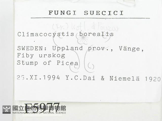 登錄號:F0005977藏品圖，第2張