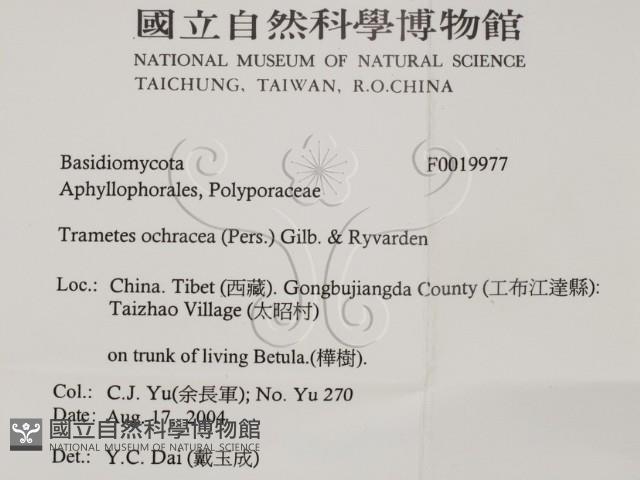 登錄號:F0019977藏品圖，第2張