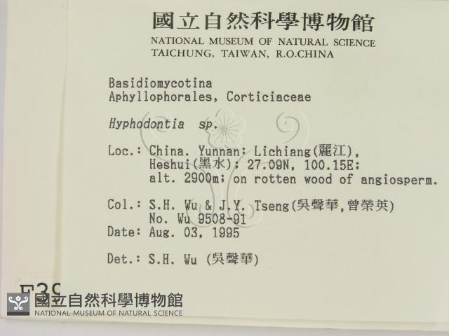 登錄號:F0003977藏品圖，第2張