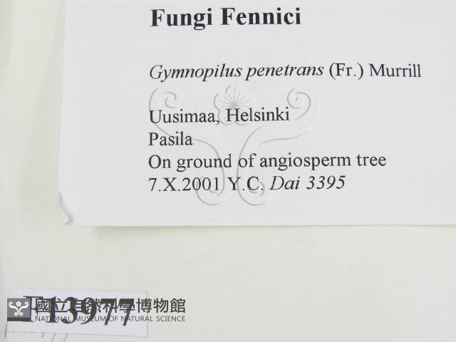 登錄號:F0013977藏品圖，第2張
