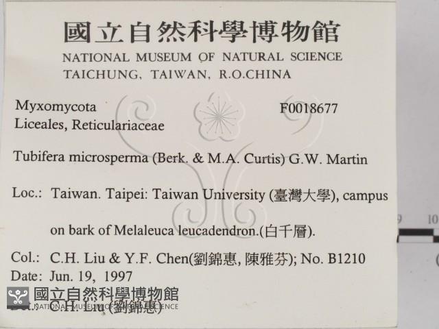 登錄號:F0018677藏品圖，第2張