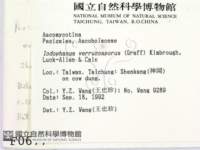 登錄號:F0000677藏品圖，第2張