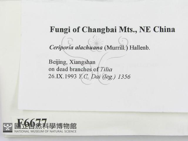 登錄號:F0006677藏品圖，第2張