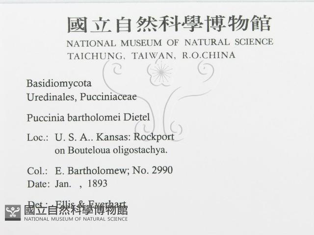 登錄號:F0011677藏品圖，第2張