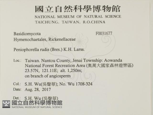 登錄號:F0031677藏品圖，第2張