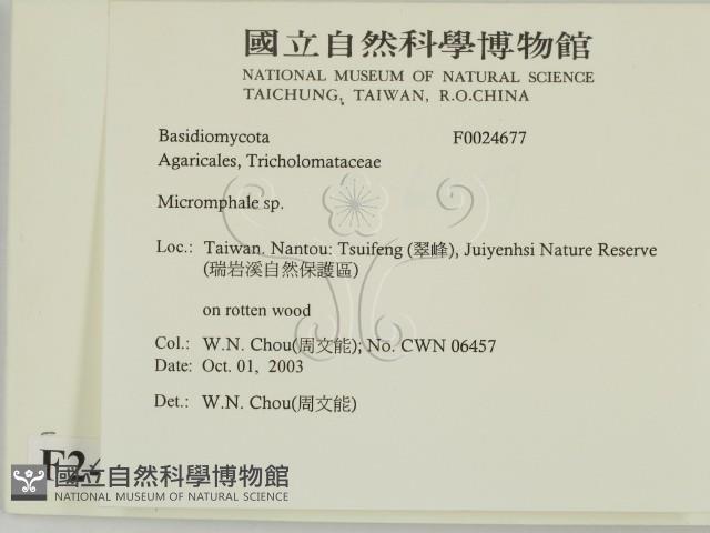 登錄號:F0024677藏品圖，第2張