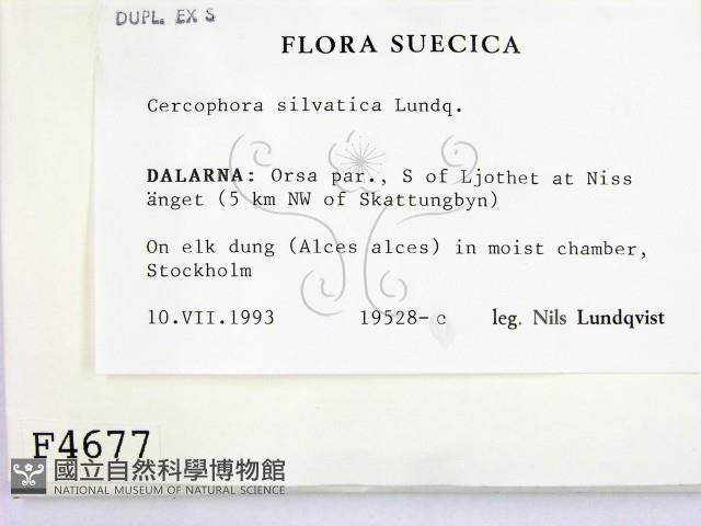 登錄號:F0004677藏品圖，第2張