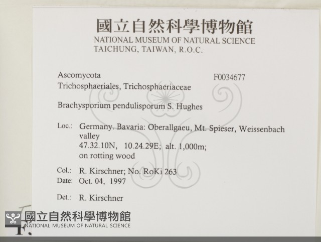 登錄號:F0034677藏品圖，第2張
