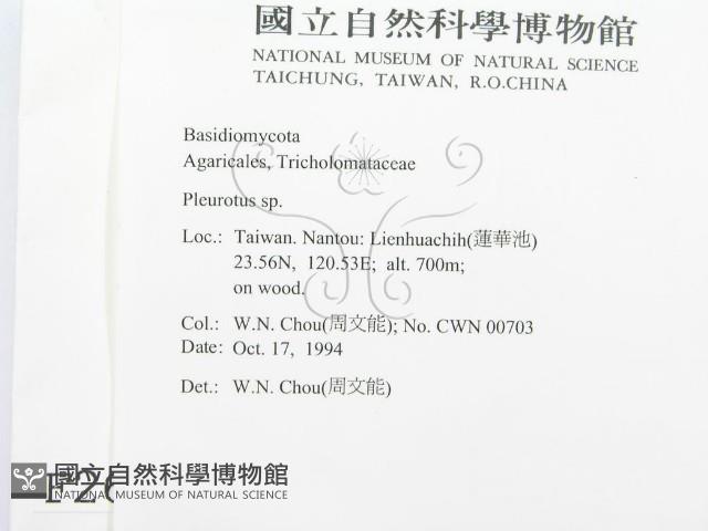 登錄號:F0002677藏品圖，第2張