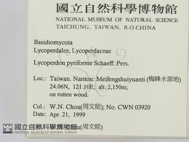 登錄號:F0012677藏品圖，第2張