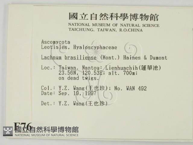 登錄號:F0007677藏品圖，第2張