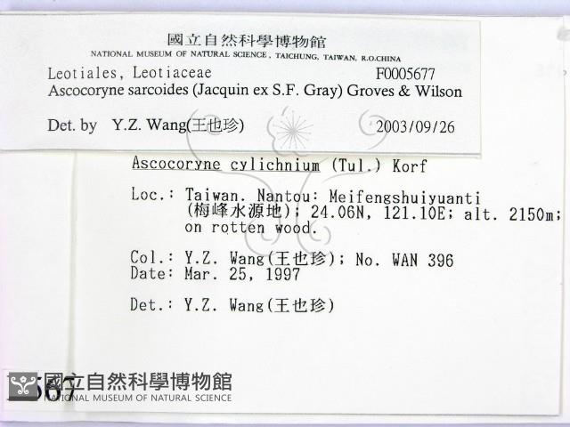 登錄號:F0005677藏品圖，第2張
