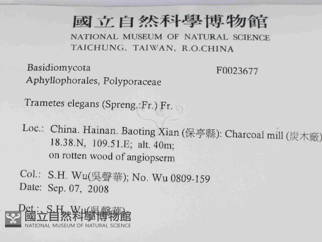 登錄號:F0023677藏品圖，第2張