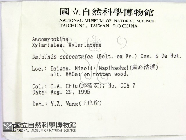登錄號:F0003677藏品圖，第2張