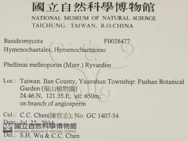 登錄號:F0028477藏品圖，第2張