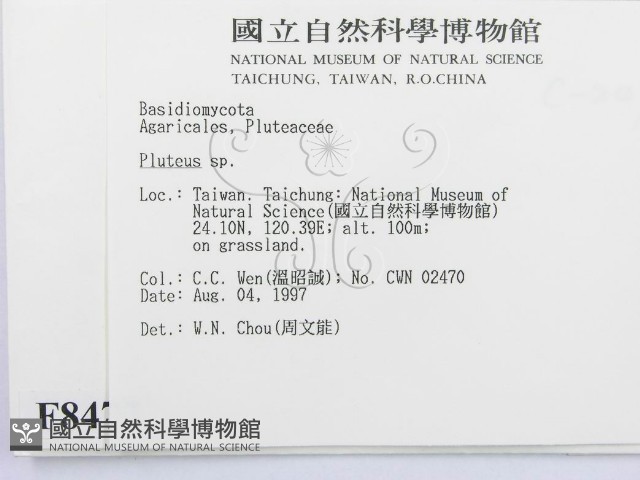 登錄號:F0008477藏品圖，第2張