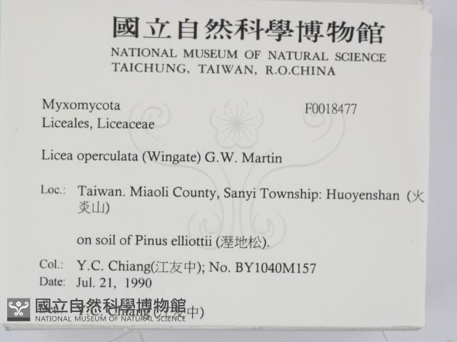 登錄號:F0018477藏品圖，第2張