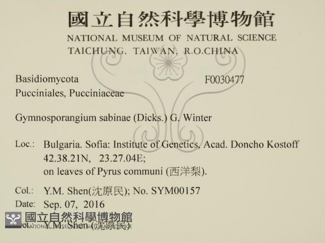 登錄號:F0030477藏品圖，第2張