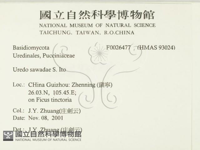 登錄號:F0026477藏品圖，第2張