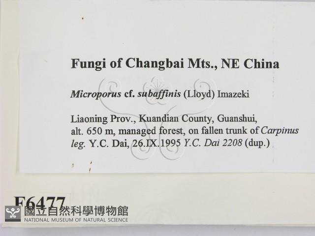 登錄號:F0006477藏品圖，第2張