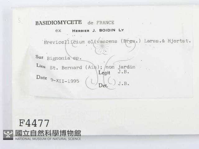 登錄號:F0004477藏品圖，第2張