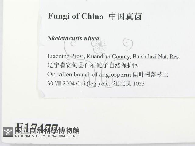 登錄號:F0017477藏品圖，第2張
