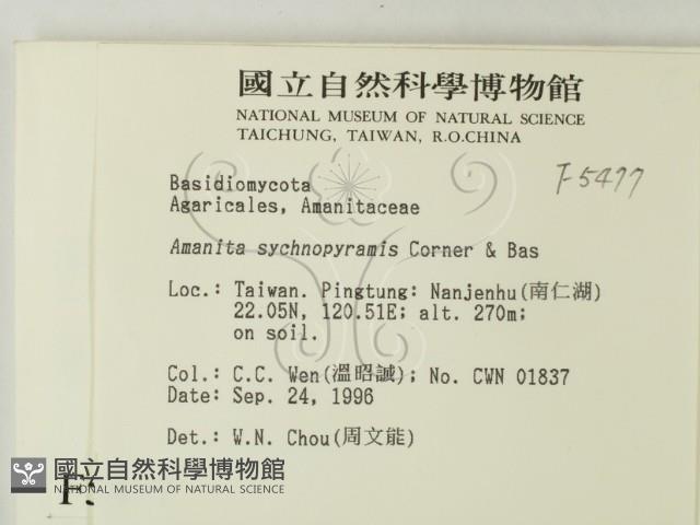 登錄號:F0005477藏品圖，第2張