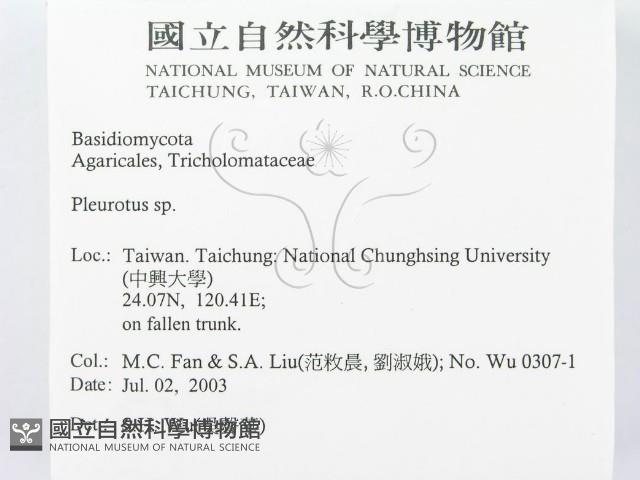 登錄號:F0015477藏品圖，第2張