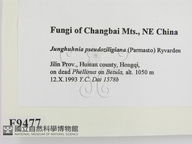 登錄號:F0009477藏品圖，第2張