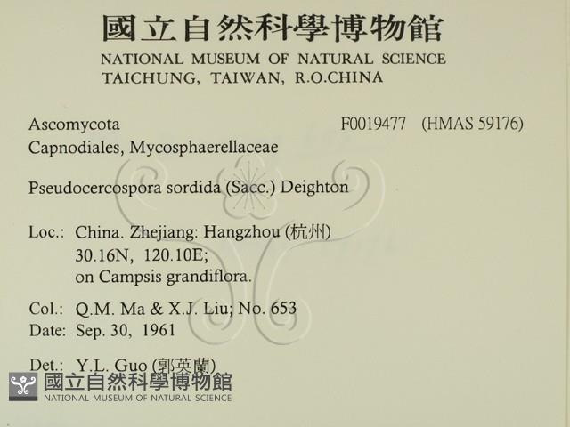 登錄號:F0019477藏品圖，第2張
