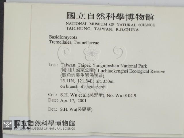 登錄號:F0013477藏品圖，第2張
