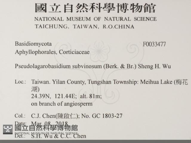 登錄號:F0033477藏品圖，第2張