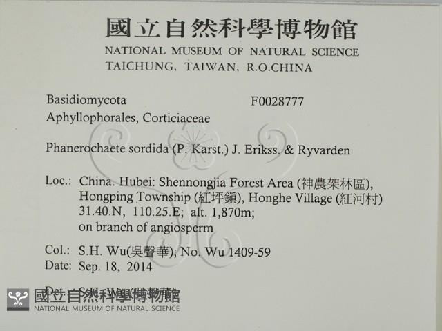 登錄號:F0028777藏品圖，第2張