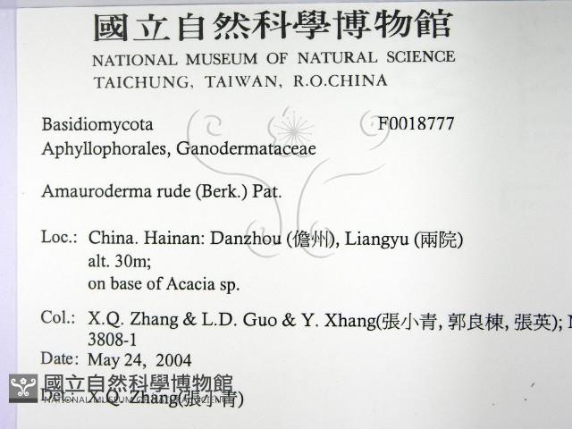 登錄號:F0018777藏品圖，第2張