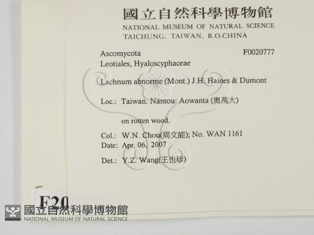 登錄號:F0020777藏品圖，第2張