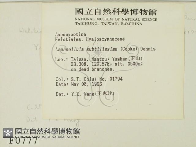 登錄號:F0000777藏品圖，第2張