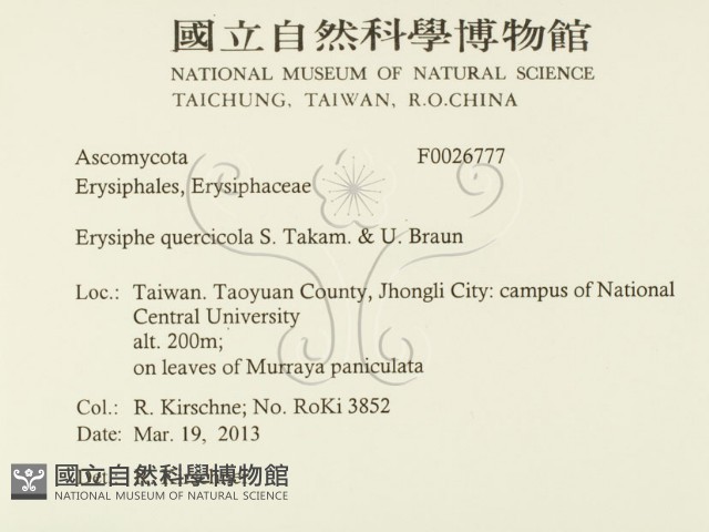 登錄號:F0026777藏品圖，第2張