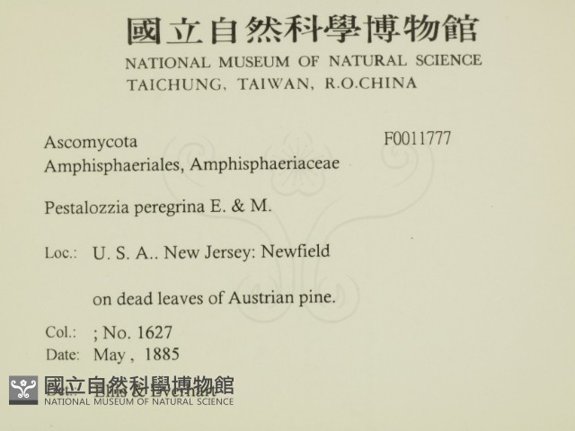 登錄號:F0011777藏品圖，第2張
