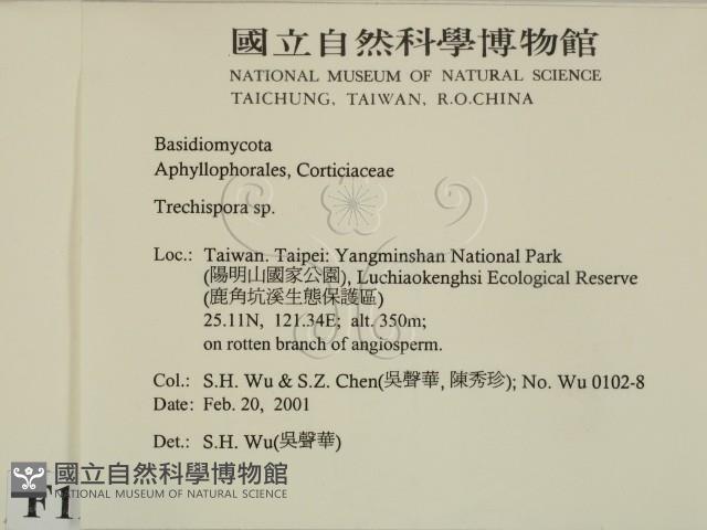 登錄號:F0012777藏品圖，第2張